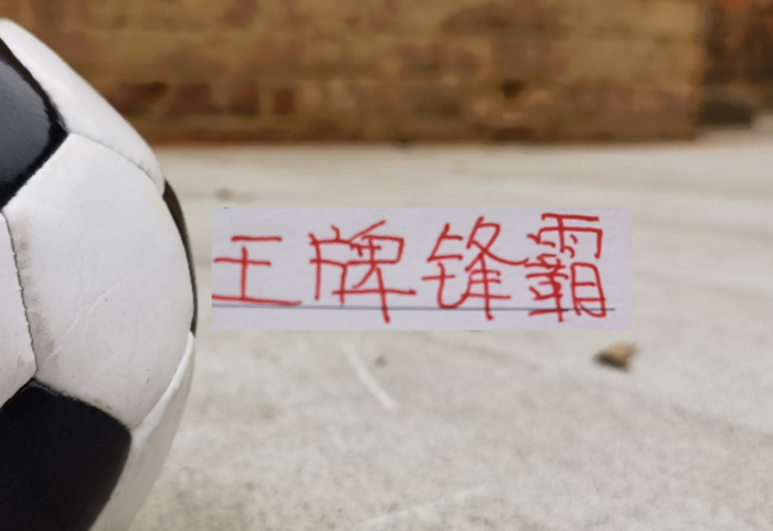 kaiyun-王牌锋霸武磊 莱昂纳多复出！海港就差蒋光太 就能组建最强阵容了|上海海港|锋线|加布里埃尔·巴尔博扎|北京国安|超级杯_新浪体育_新浪新闻